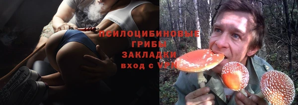 гидропоника Инта