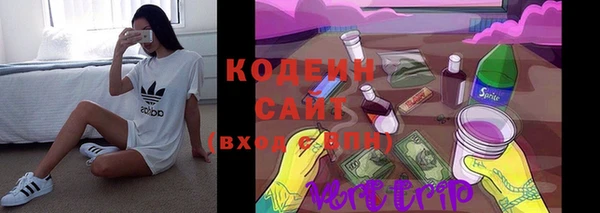спиды Иннополис