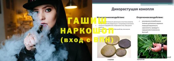 прущая мука Инсар