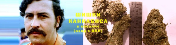 Альфа ПВП Ельня