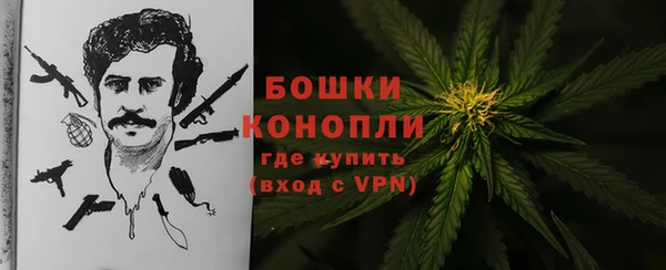 Альфа ПВП Ельня