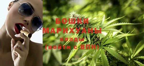 Альфа ПВП Ельня