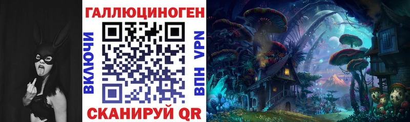 блэк спрут ссылка это телеграм Галлюциногенные грибы мицелий Мураши