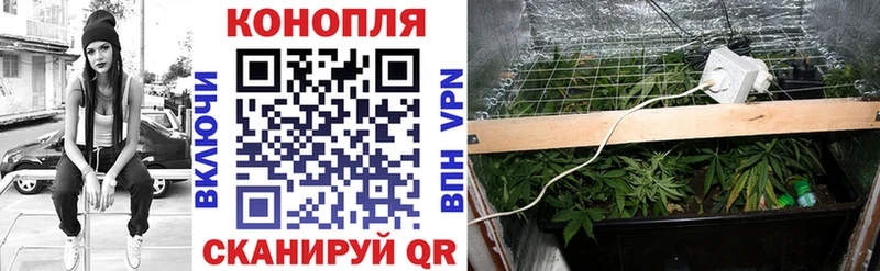 наркота  Мураши  Бошки Шишки THC 21% 